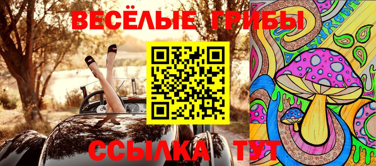 Галлюциногенные грибы GOLDEN TEACHER Артёмовский