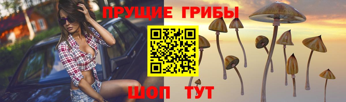 Псилоцибиновые грибы ЛСД  Вход с VPN  цены наркотик  Артёмовский 